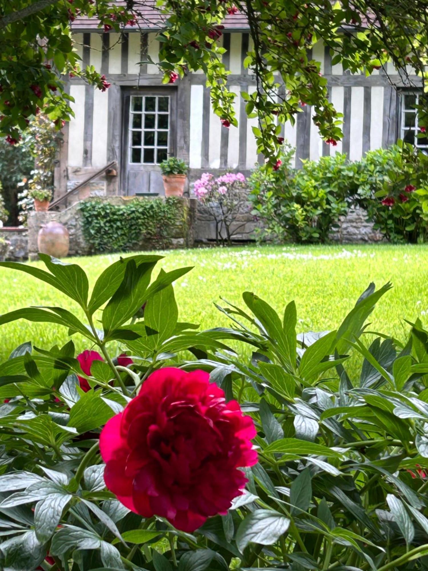 Les Hortensias Manerbe Exterior foto